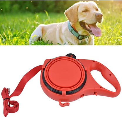 Leash Bowl