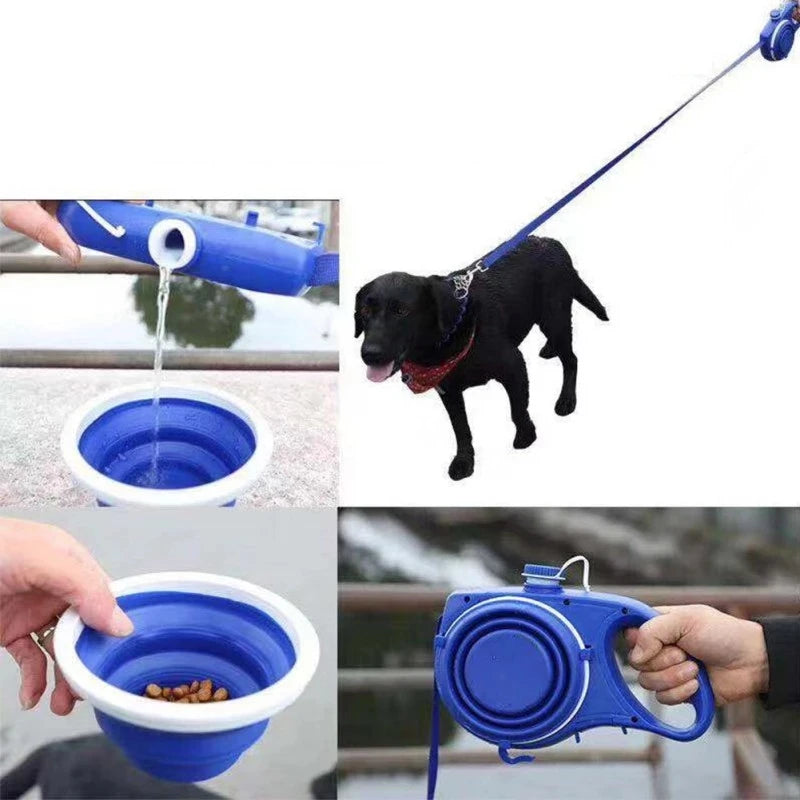 Leash Bowl