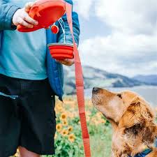 Leash Bowl